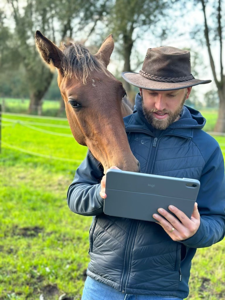 Paarden
